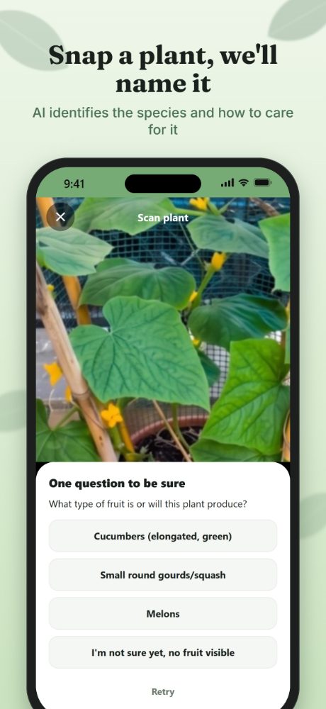 Plant identification