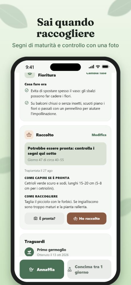 Quando raccogliere